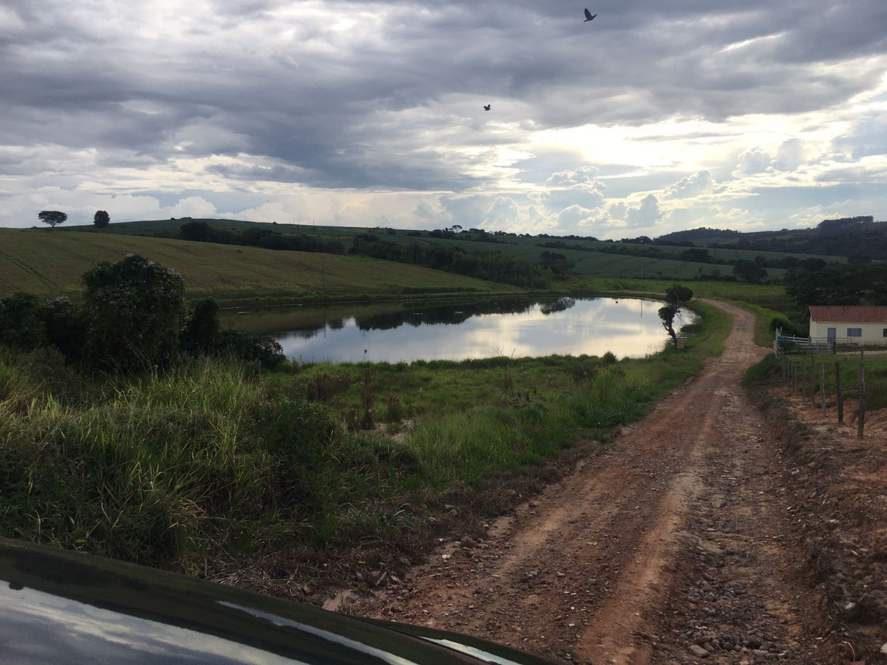 Chácara à venda com 5 quartos, 1860000m² - Foto 5