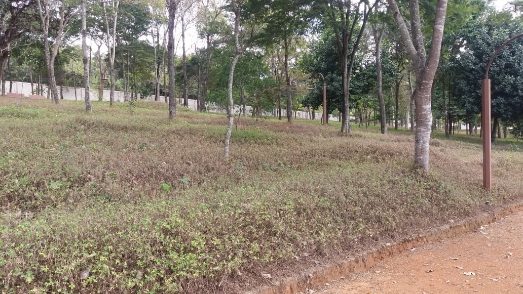 Terreno à venda, 1630m² - Foto 4