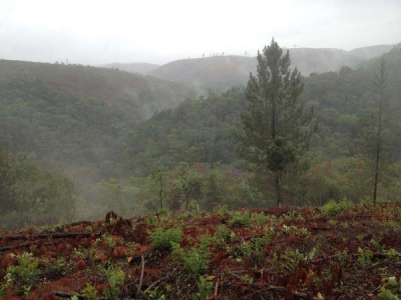 Terreno à venda, 2800m² - Foto 5