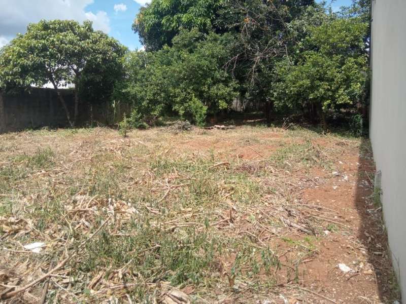 Terreno à venda, 350m² - Foto 3