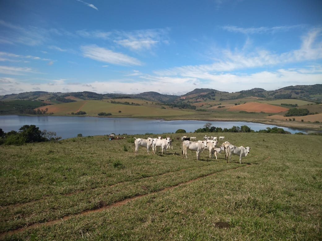 Chácara à venda com 1 quarto, 1090000m² - Foto 2