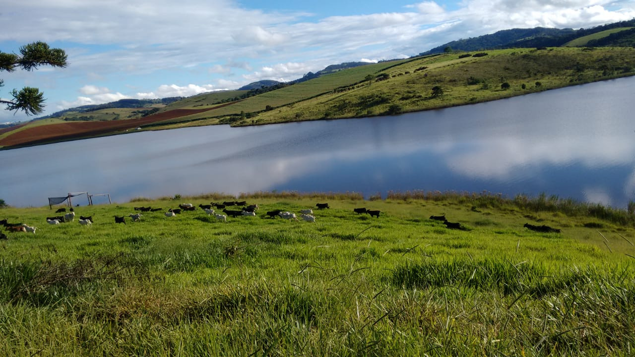 Chácara à venda com 1 quarto, 1090000m² - Foto 4