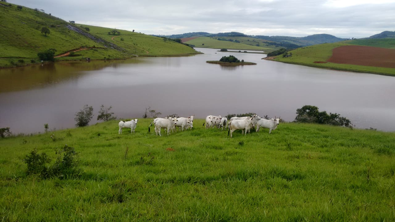 Chácara à venda com 1 quarto, 1090000m² - Foto 3