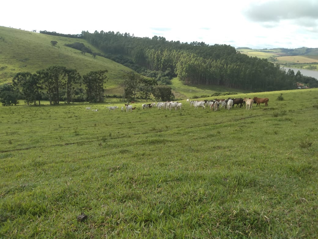 Chácara à venda com 1 quarto, 1090000m² - Foto 5