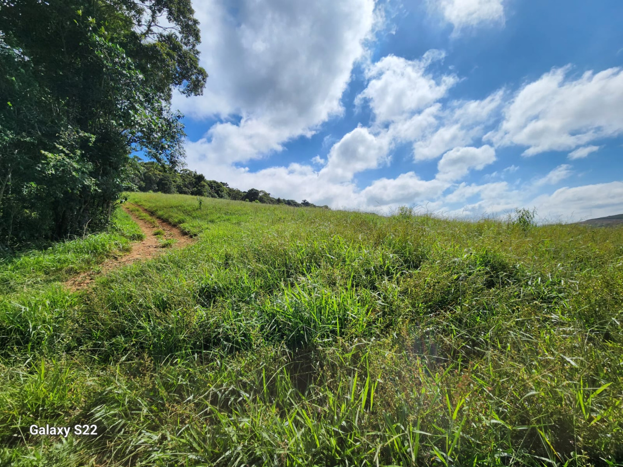 Chácara à venda com 1 quarto, 1090000m² - Foto 9