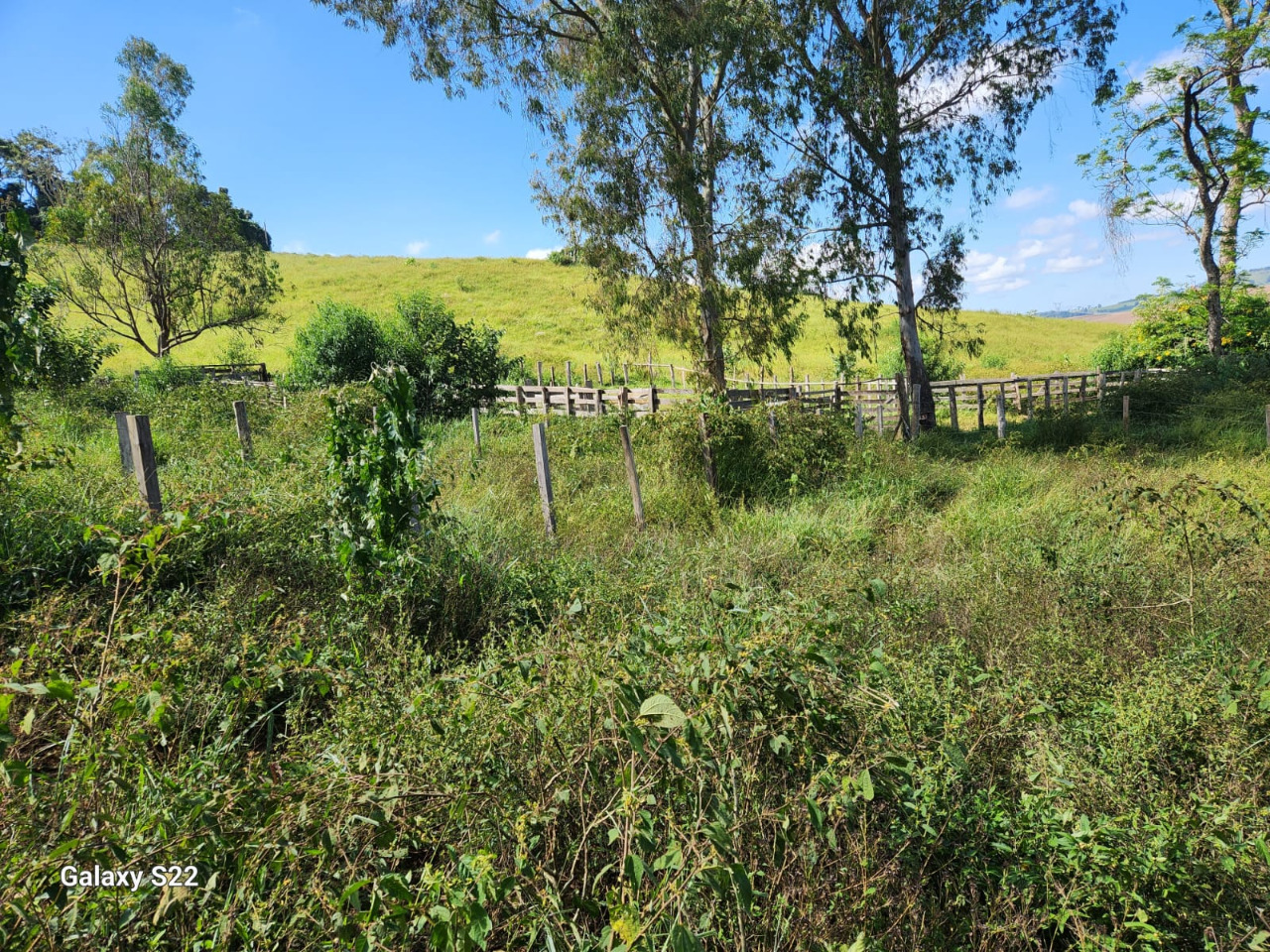 Chácara à venda com 1 quarto, 1090000m² - Foto 12