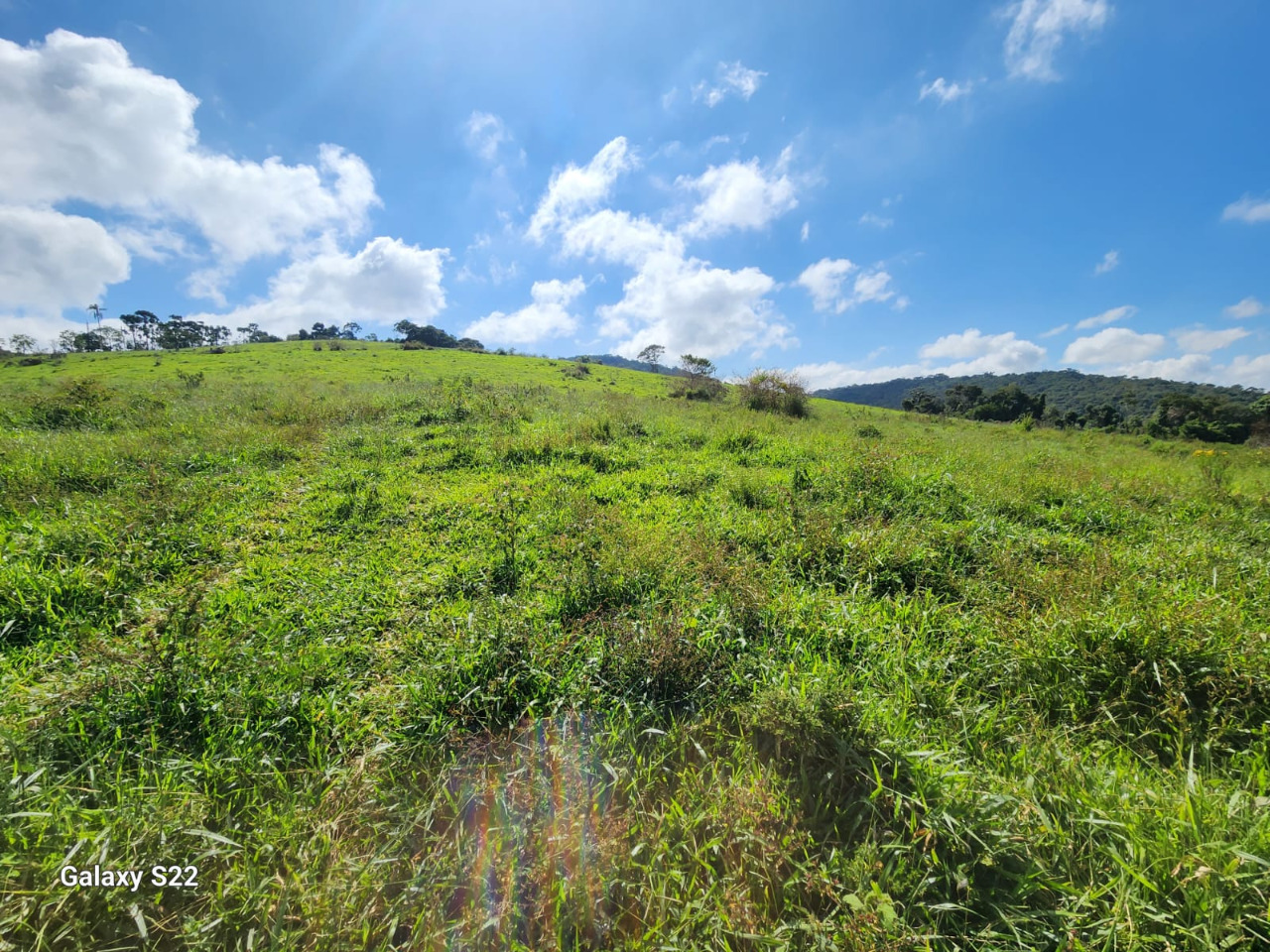 Chácara à venda com 1 quarto, 1090000m² - Foto 6