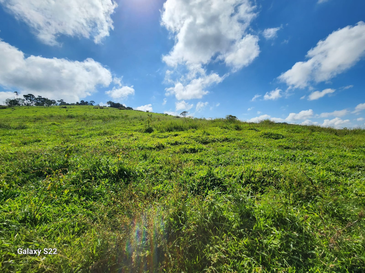 Chácara à venda com 1 quarto, 1090000m² - Foto 15