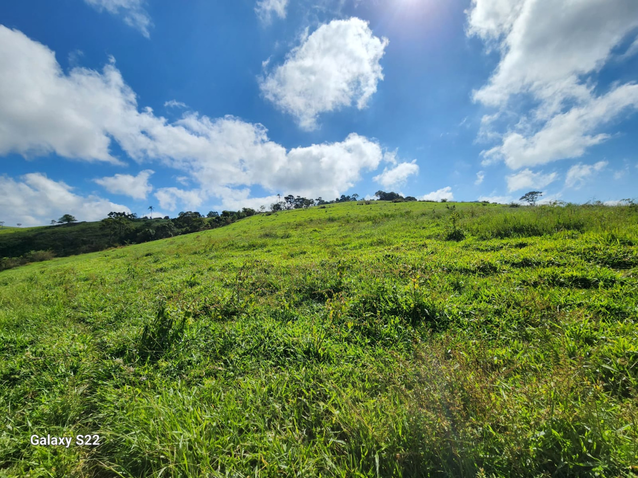 Chácara à venda com 1 quarto, 1090000m² - Foto 16