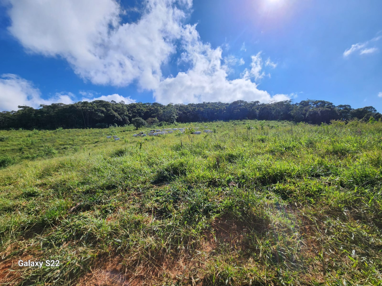 Chácara à venda com 1 quarto, 1090000m² - Foto 22