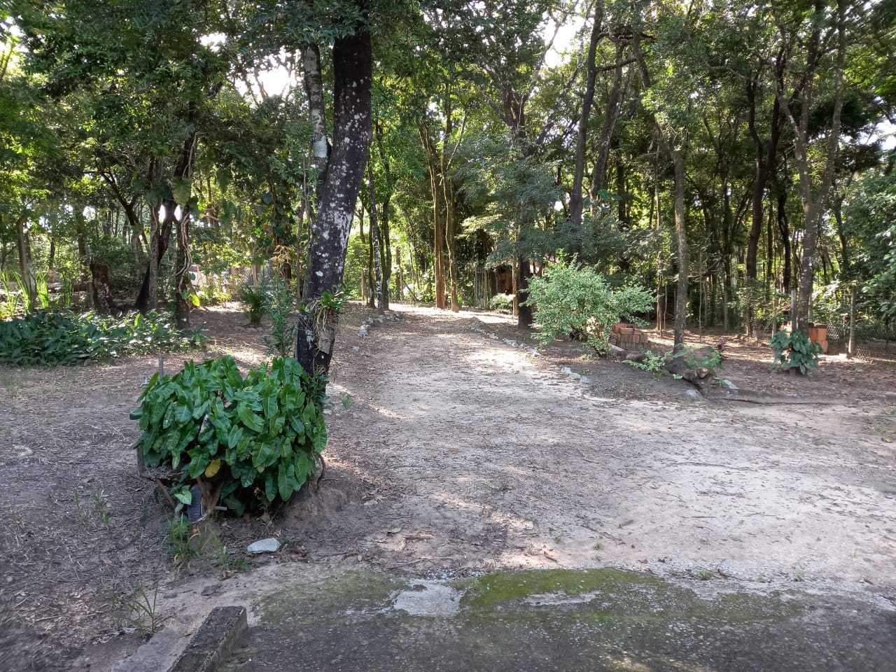 Chácara à venda com 2 quartos, 2000m² - Foto 16