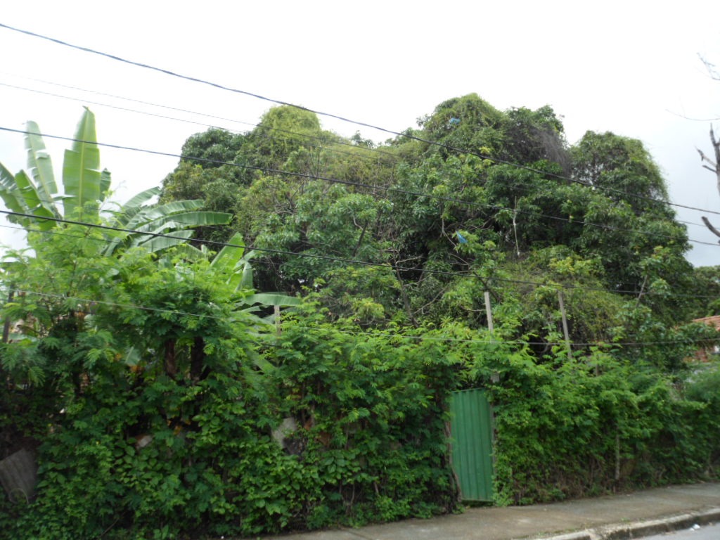 Terreno à venda, 1880m² - Foto 4