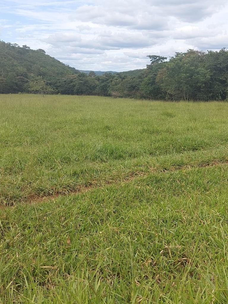 Chácara à venda com 1 quarto, 258900m² - Foto 2