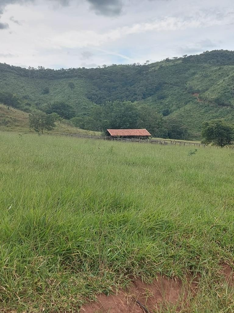 Chácara à venda com 1 quarto, 258900m² - Foto 3