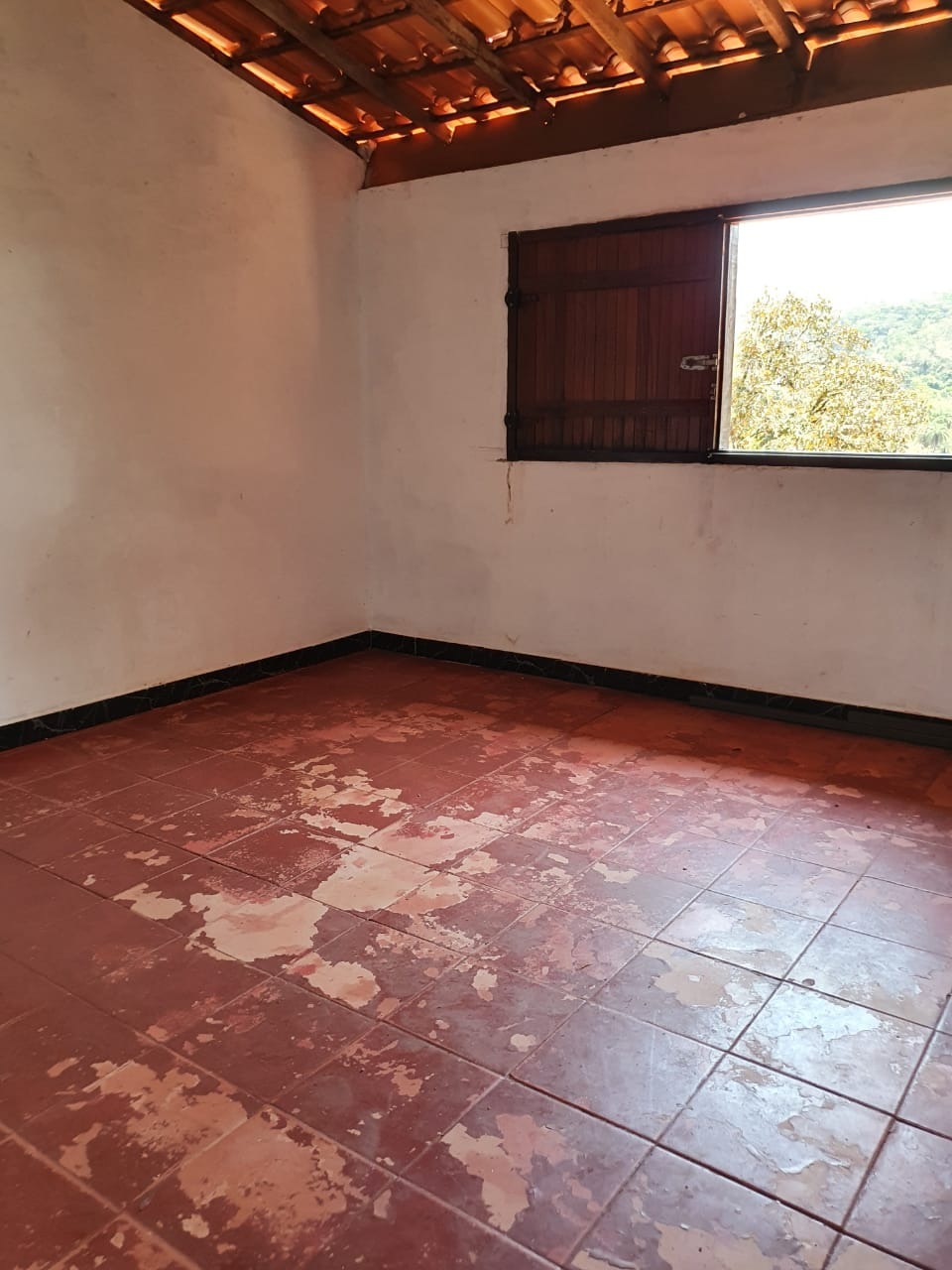 Chácara à venda com 3 quartos, 2300m² - Foto 14