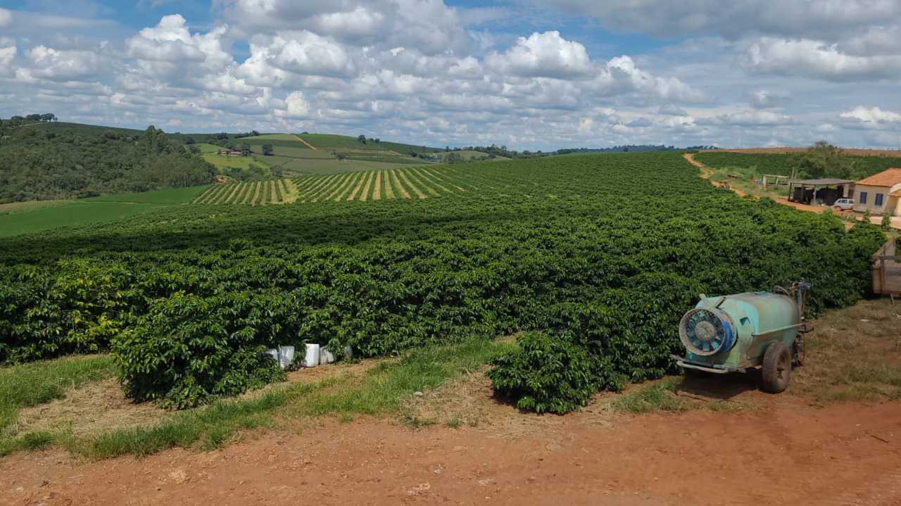 Chácara à venda com 2 quartos, 968000m² - Foto 4