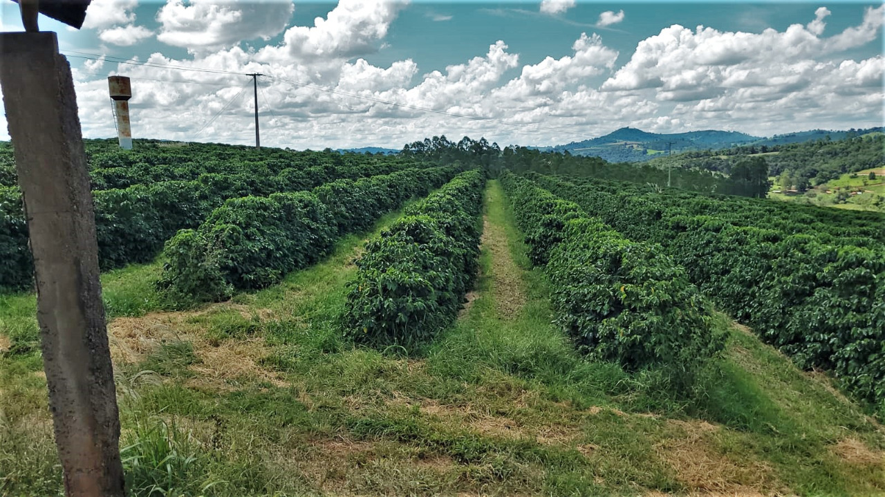 Chácara à venda com 2 quartos, 968000m² - Foto 2