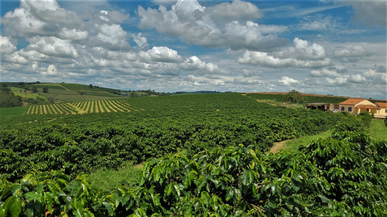 Chácara à venda com 2 quartos, 968000m² - Foto 5