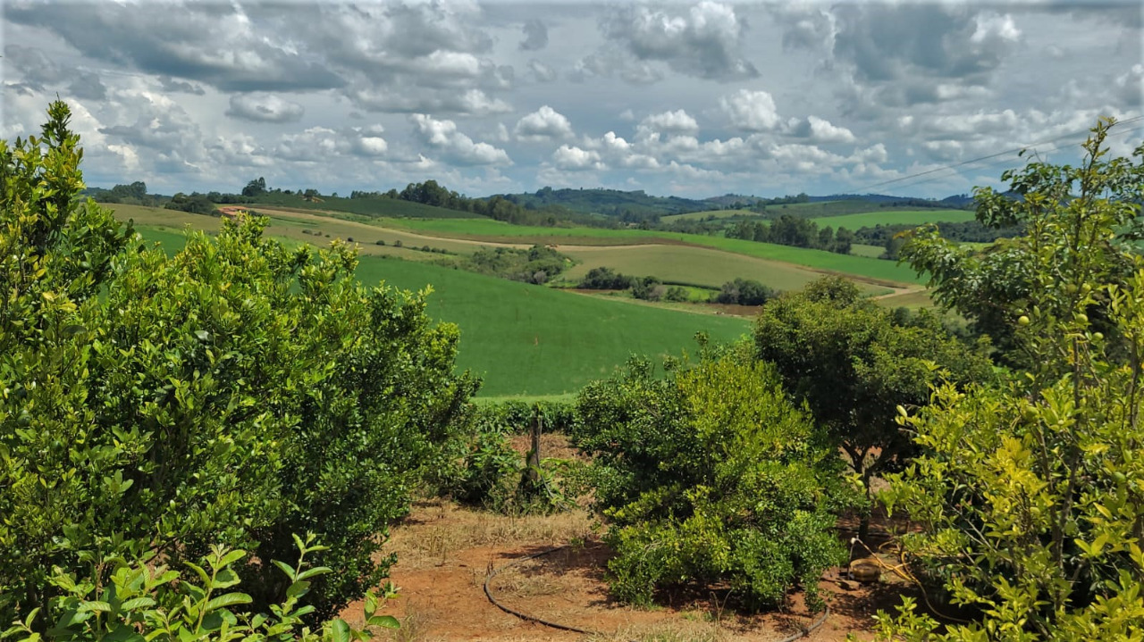 Chácara à venda com 2 quartos, 968000m² - Foto 9