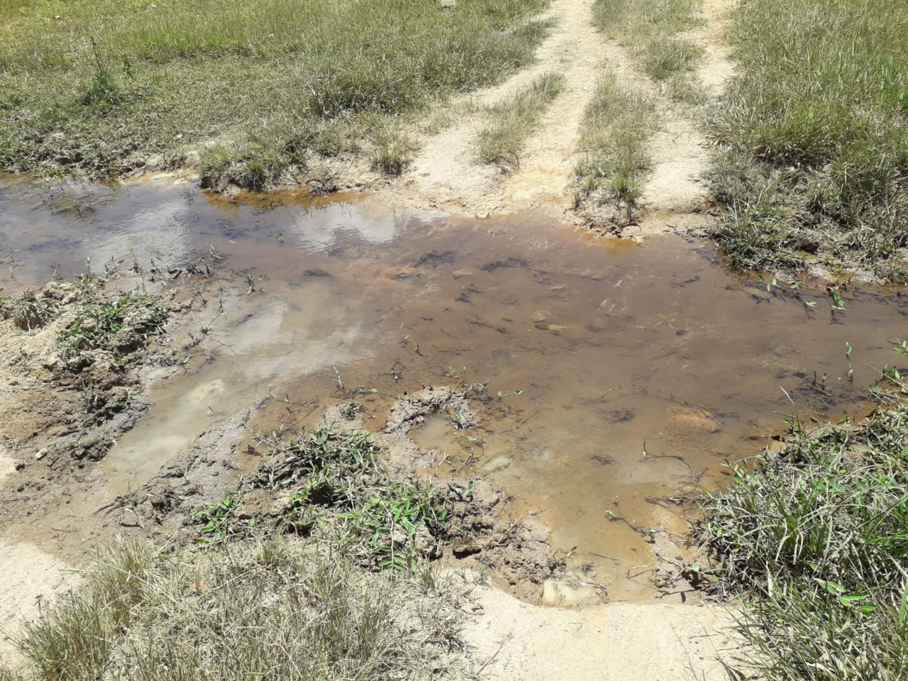 Chácara à venda com 1 quarto, 4200000m² - Foto 9