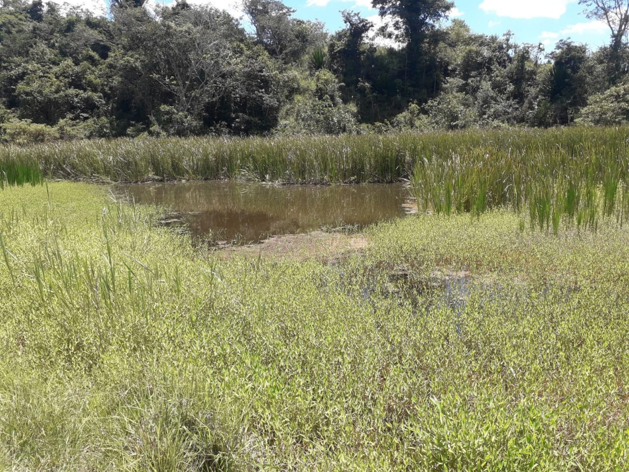 Chácara à venda com 1 quarto, 4200000m² - Foto 8