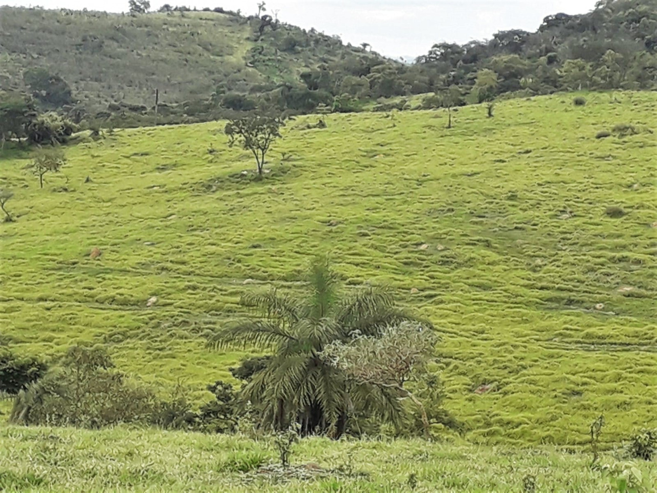 Chácara à venda com 1 quarto, 4200000m² - Foto 2