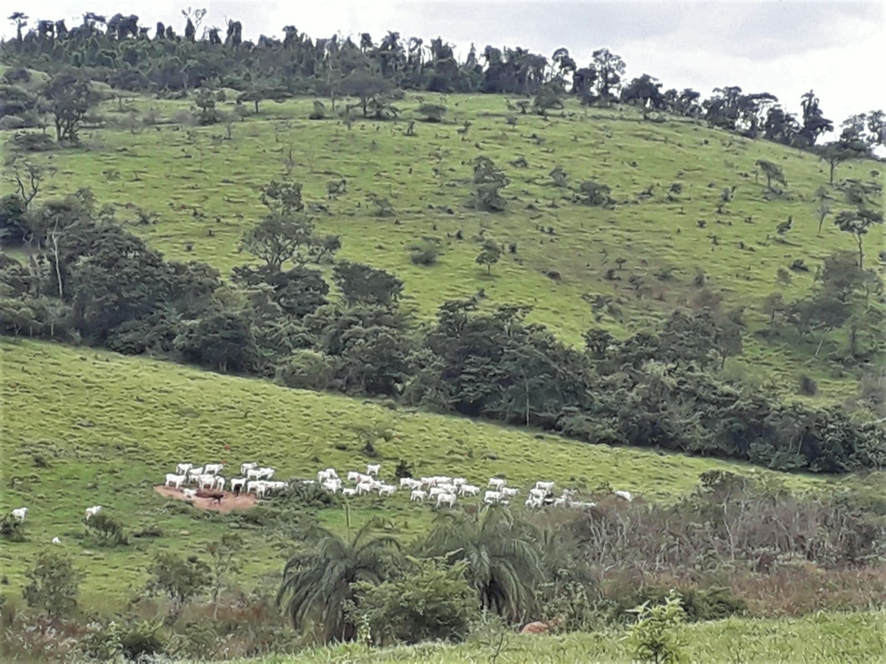 Chácara à venda com 1 quarto, 4200000m² - Foto 5