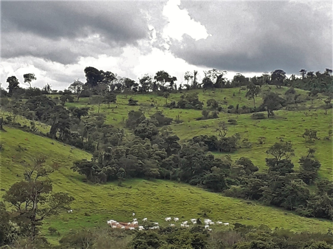 Chácara à venda com 1 quarto, 4200000m² - Foto 4