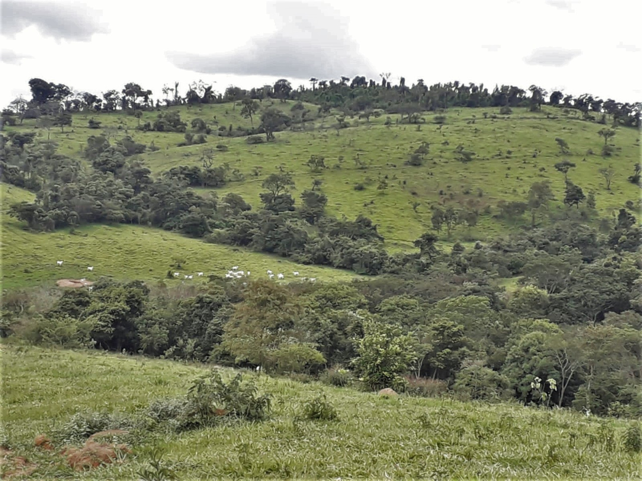 Chácara à venda com 1 quarto, 4200000m² - Foto 6