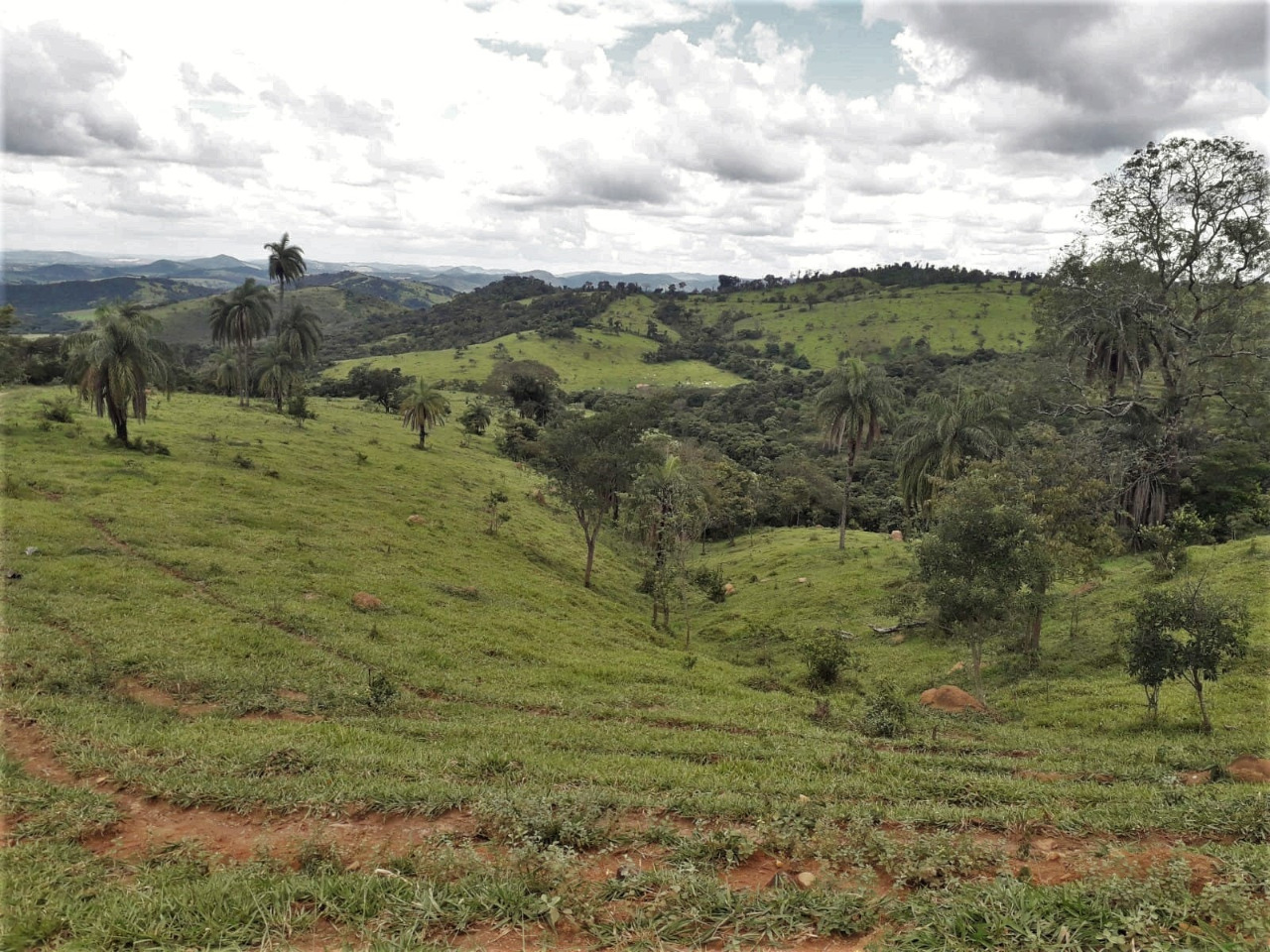 Chácara à venda com 1 quarto, 4200000m² - Foto 7