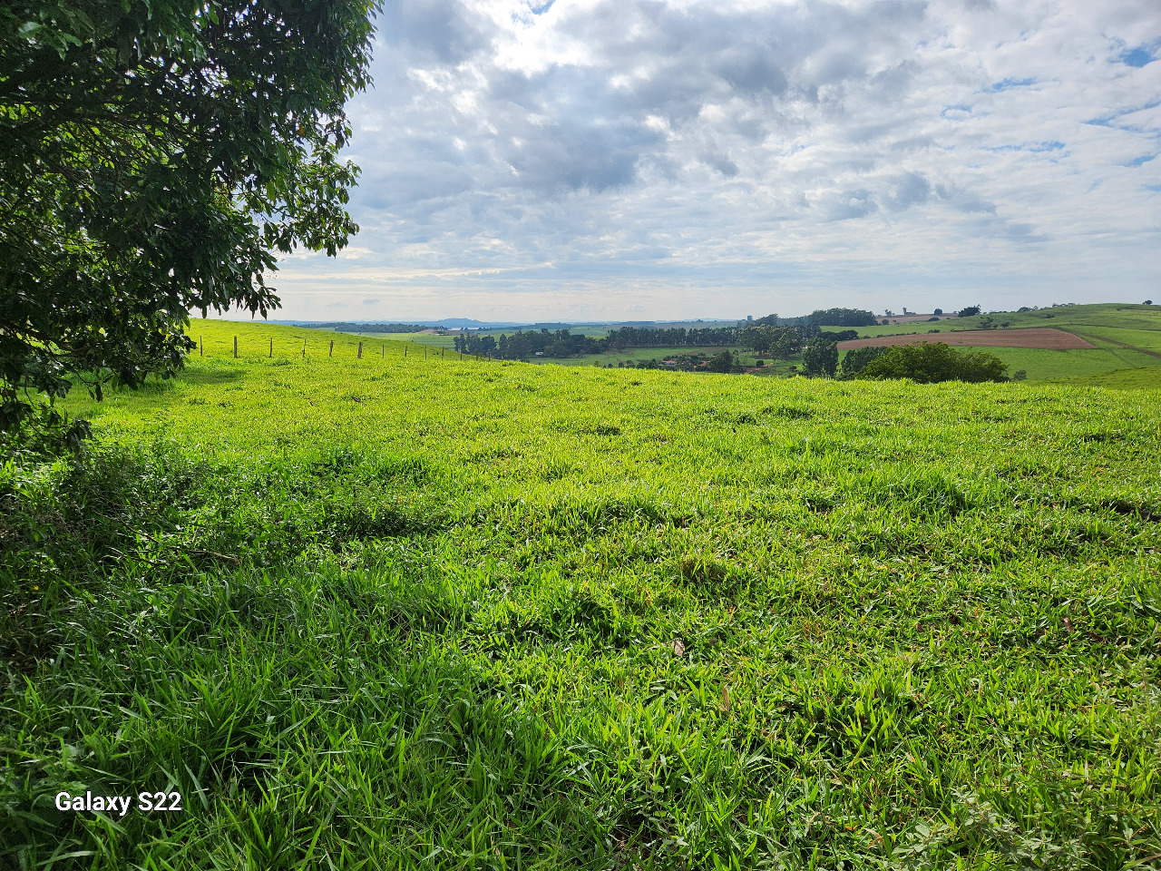 Chácara à venda com 2 quartos, 484000m² - Foto 7