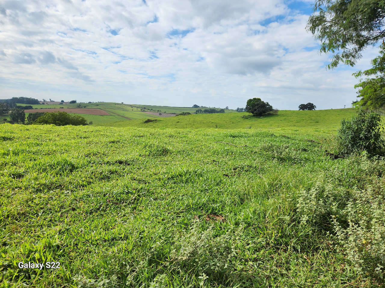 Chácara à venda com 2 quartos, 484000m² - Foto 8