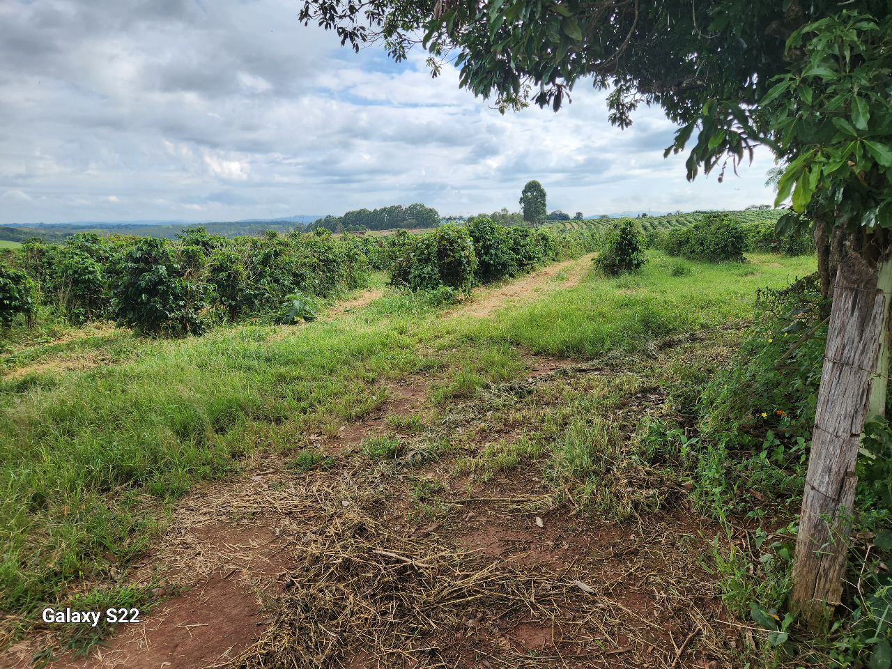 Chácara à venda com 2 quartos, 484000m² - Foto 2