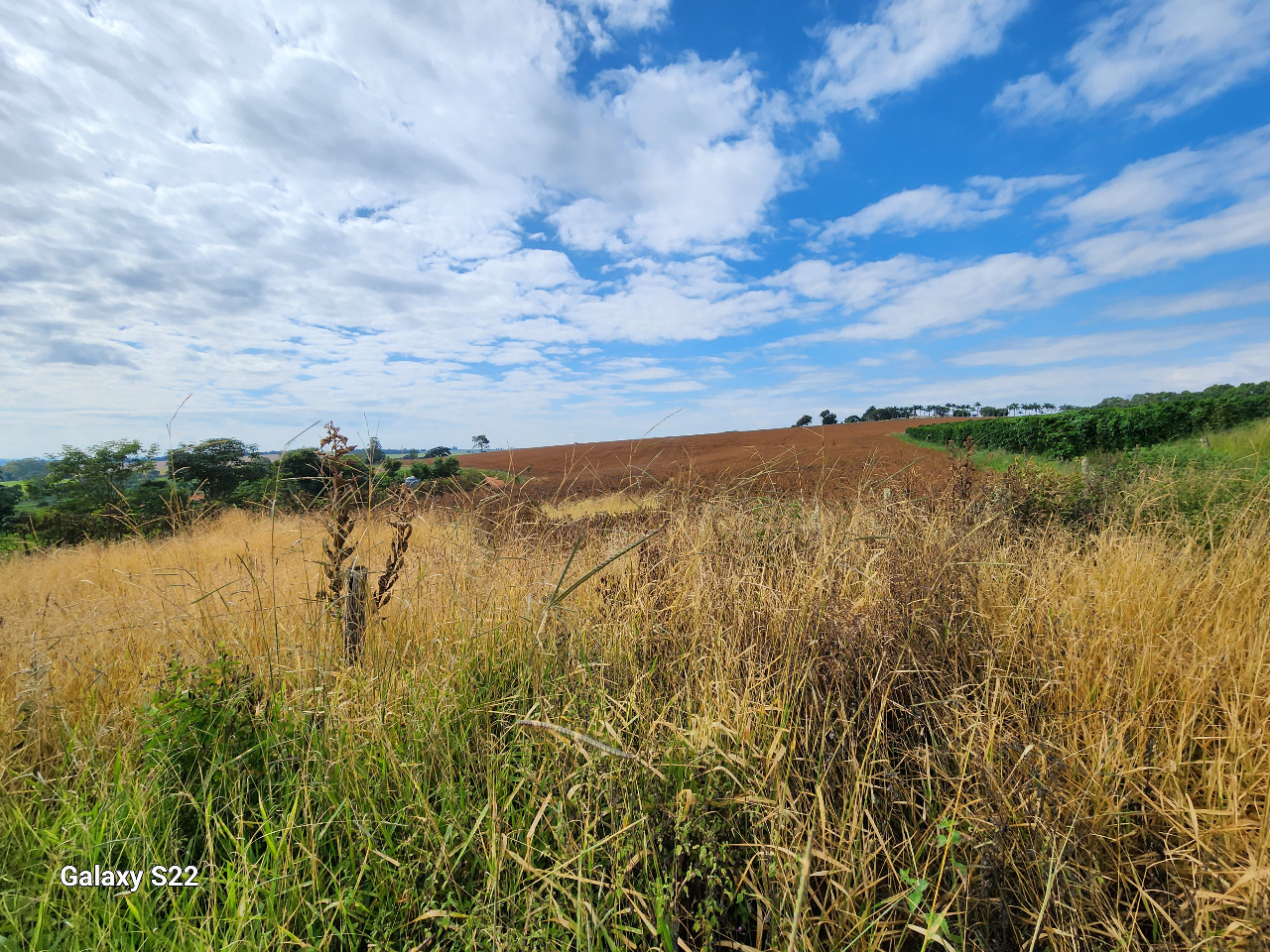 Chácara à venda com 2 quartos, 484000m² - Foto 4