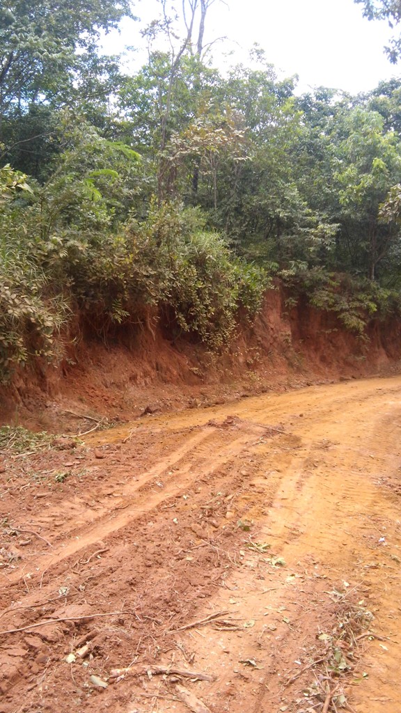 Terreno à venda, 4000m² - Foto 1