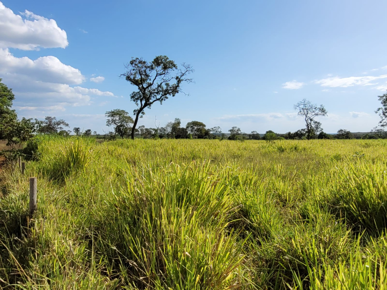 Chácara à venda com 1 quarto, 4960000m² - Foto 1