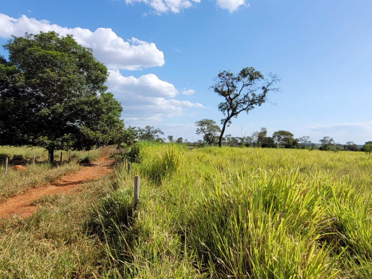 Chácara à venda com 1 quarto, 4960000m² - Foto 11