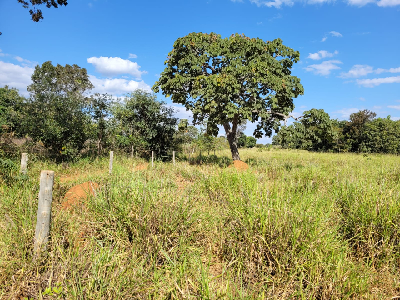 Chácara à venda com 1 quarto, 4960000m² - Foto 2