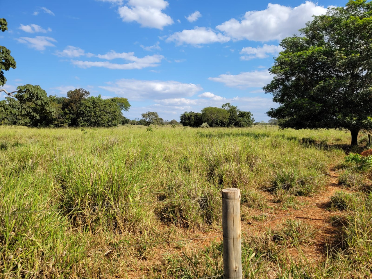 Chácara à venda com 1 quarto, 4960000m² - Foto 3