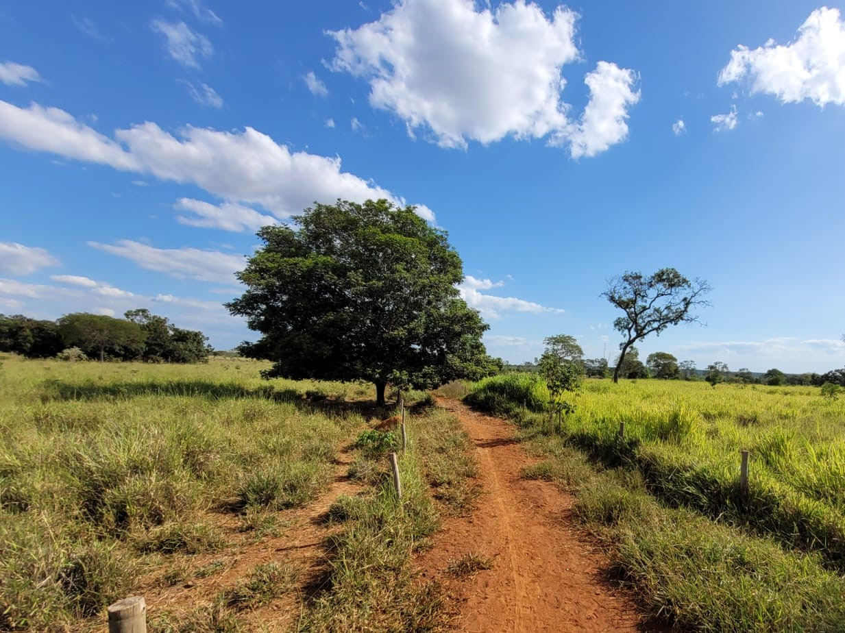 Chácara à venda com 1 quarto, 4960000m² - Foto 9