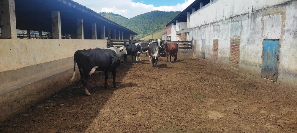 Chácara à venda com 3 quartos, 4500000m² - Foto 22