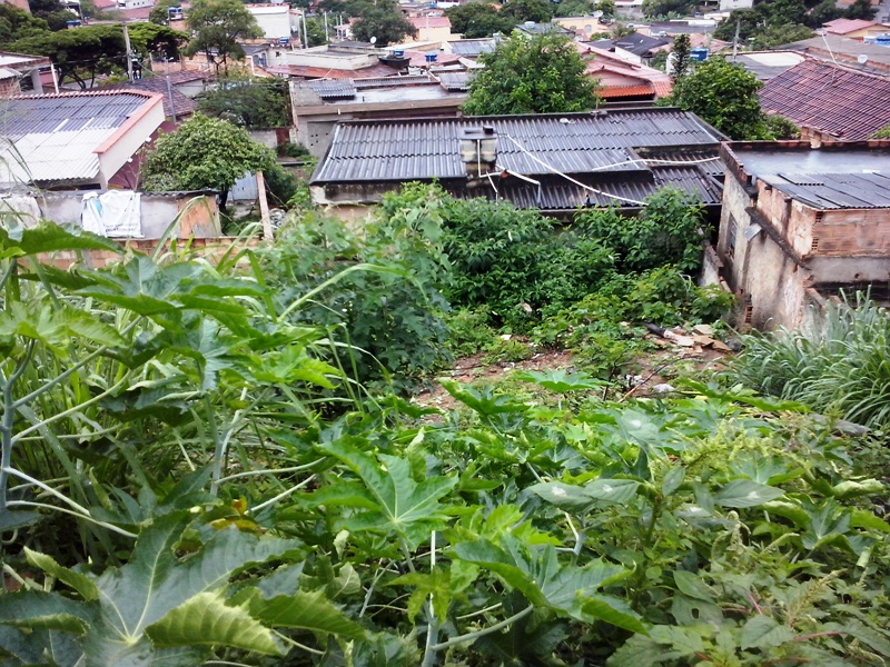 Terreno à venda, 390m² - Foto 4