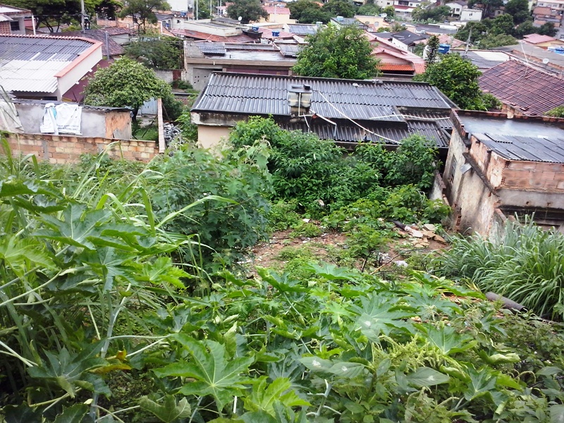 Terreno à venda, 390m² - Foto 5