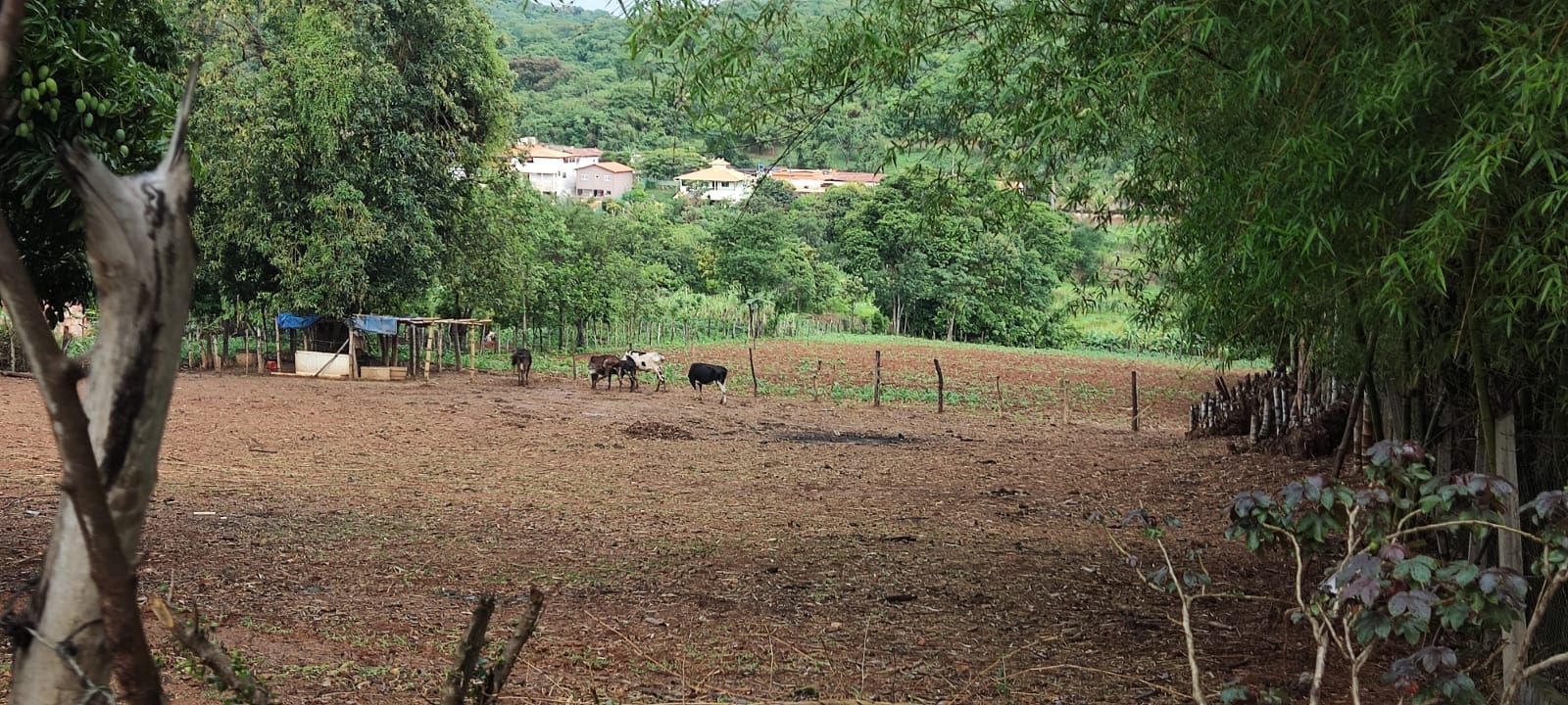 Terreno à venda, 10012m² - Foto 11