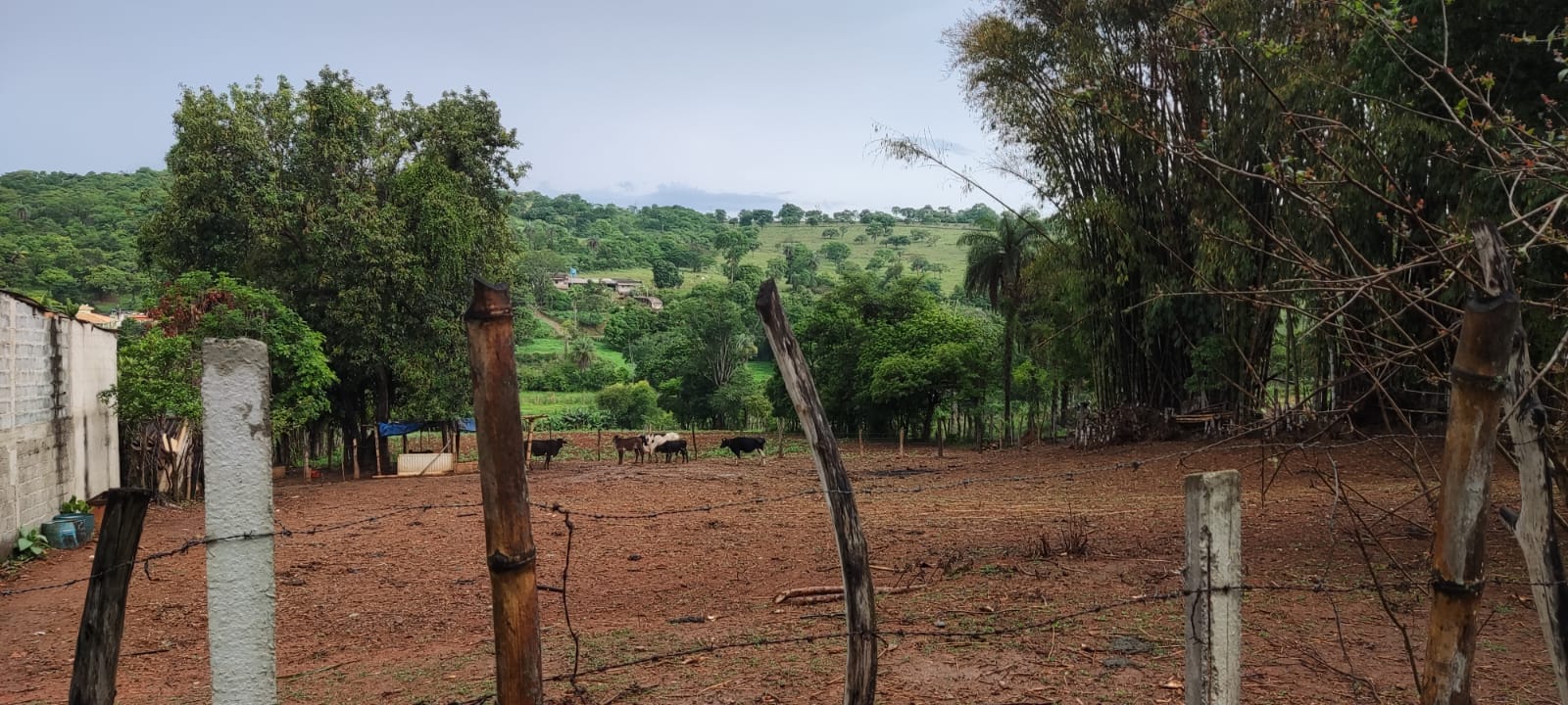 Terreno à venda, 10012m² - Foto 19