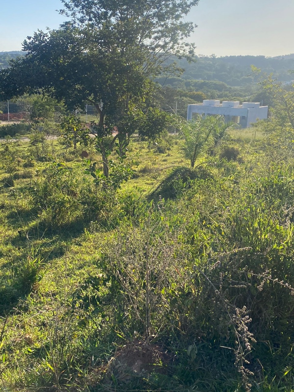 Terreno à venda, 300m² - Foto 3