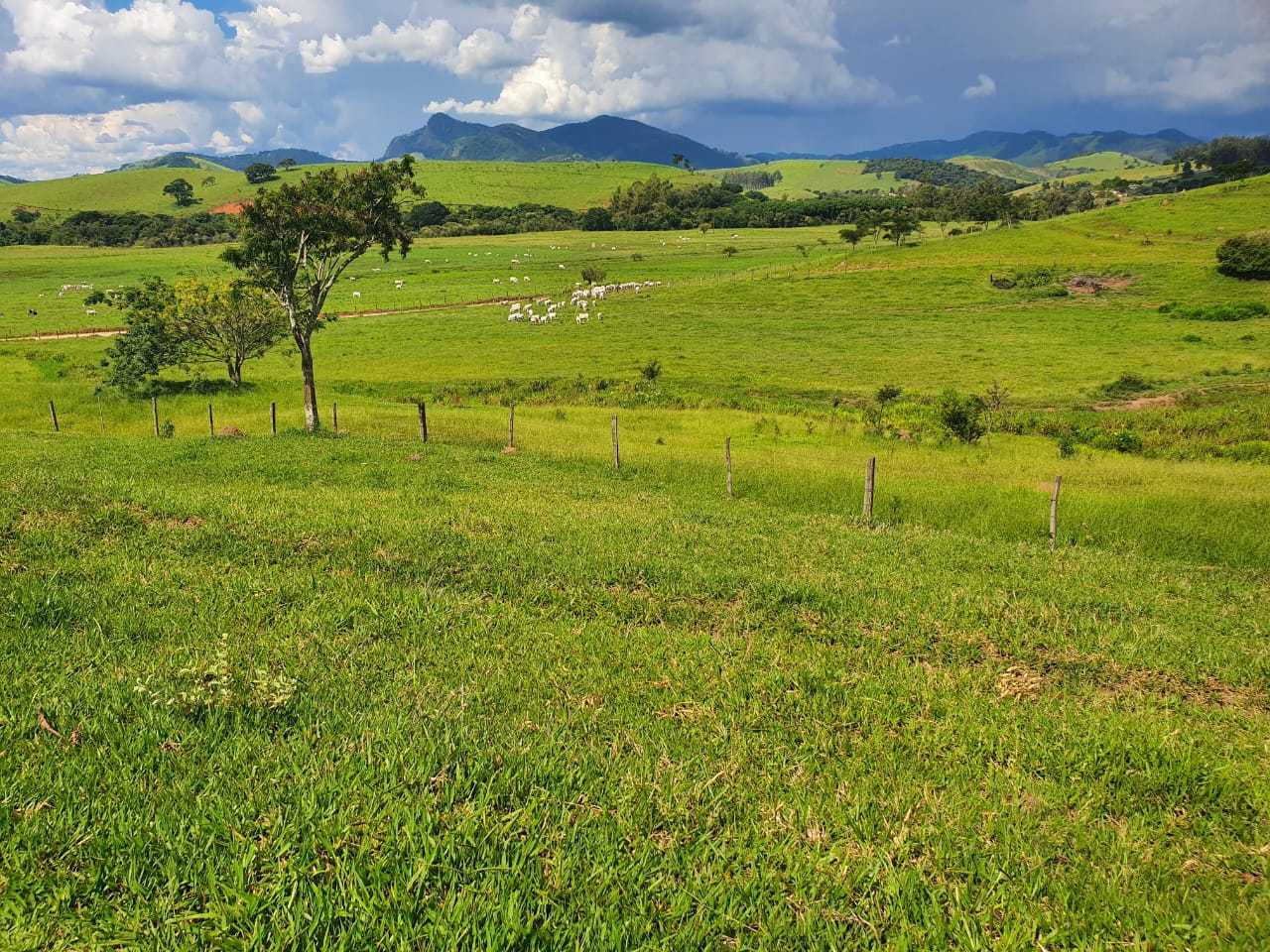 Chácara à venda com 3 quartos, 2300000m² - Foto 8