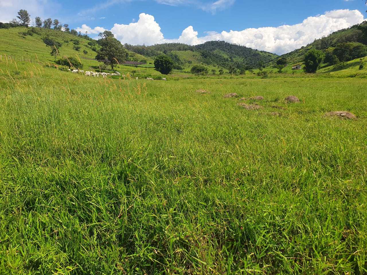 Chácara à venda com 3 quartos, 2300000m² - Foto 1