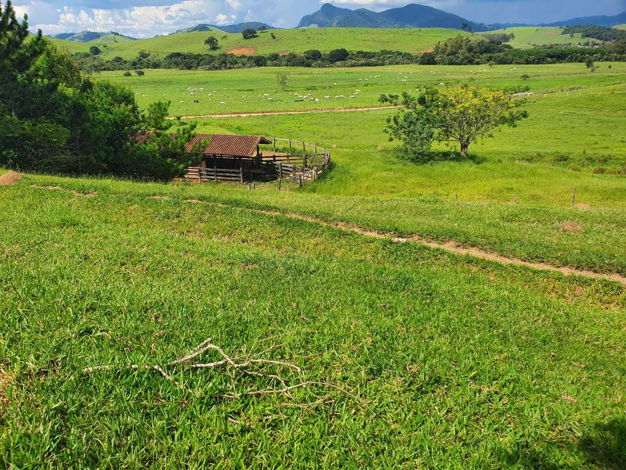 Chácara à venda com 3 quartos, 2300000m² - Foto 25