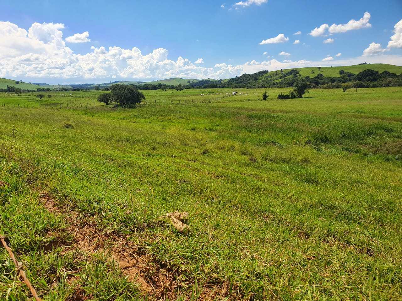 Chácara à venda com 3 quartos, 2300000m² - Foto 18